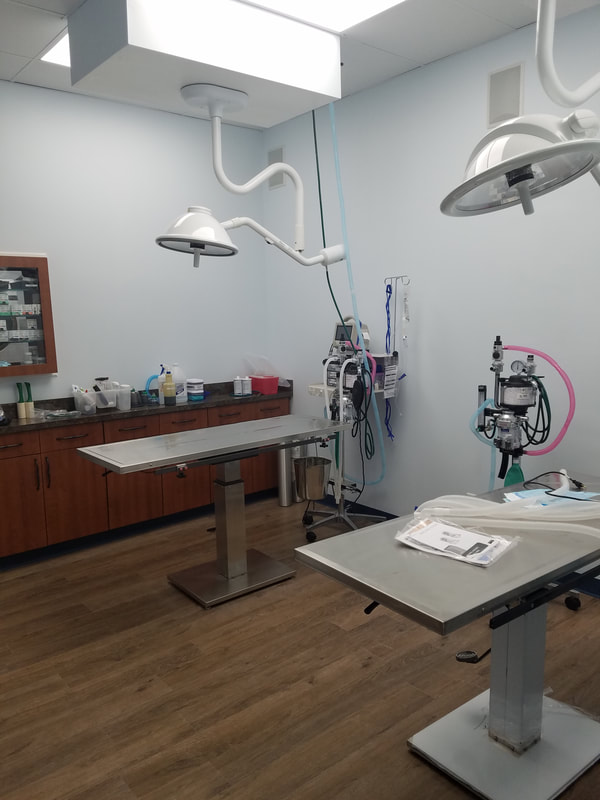 Our Surgical Suite