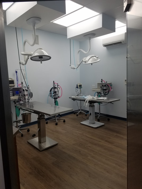 Our Surgical Suite