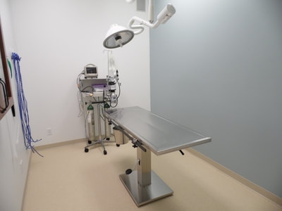 Our Surgical Suite