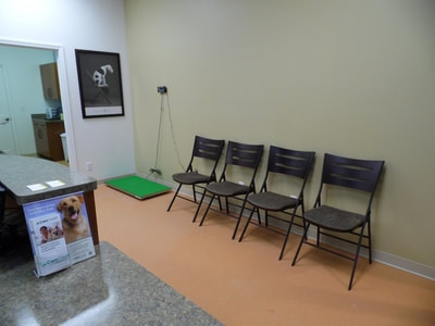 Our Waiting Room