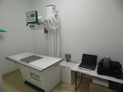 Our X-Ray Room